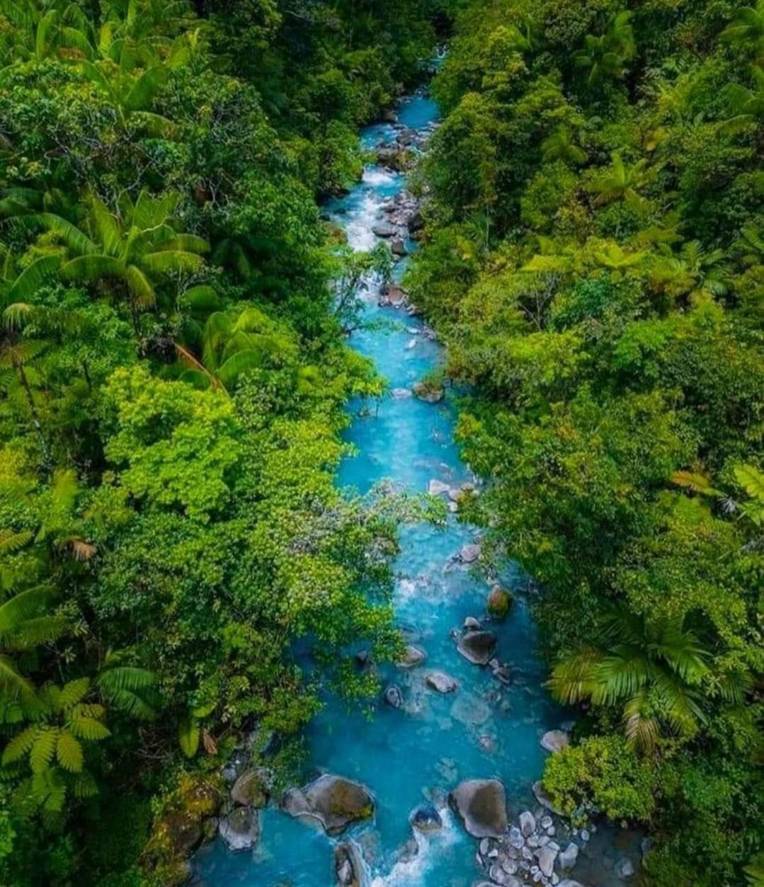 Cabinas El Pilon Rio Celeste Екстер'єр фото