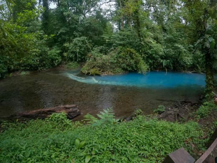 Cabinas El Pilon Rio Celeste Екстер'єр фото