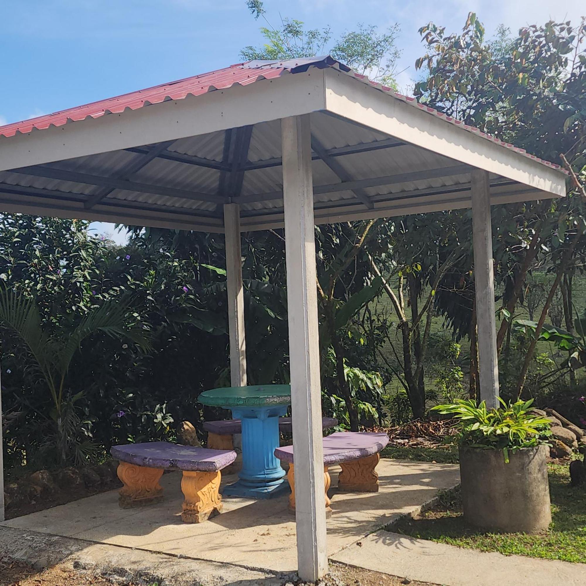 Cabinas El Pilon Rio Celeste Екстер'єр фото